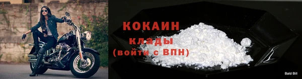 прущая мука Богородицк