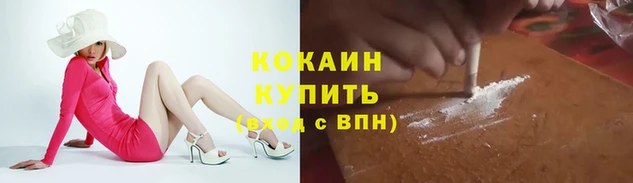 дмт Богородск