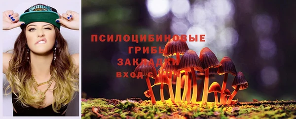 прущая мука Богородицк