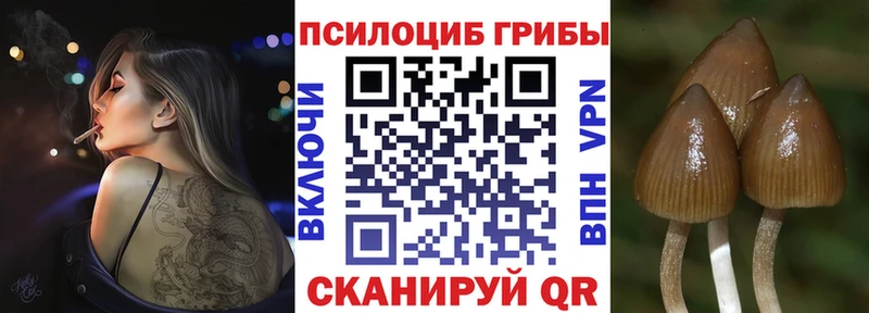 Псилоцибиновые грибы MAGIC MUSHROOMS Дальнегорск
